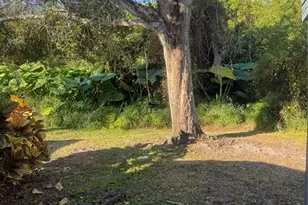 2422 King Oak Ct, Saint Cloud, FL 34769 - Photo 18