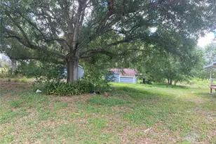 431 S Miami St, Lake Wales, FL 33853 - Photo 4