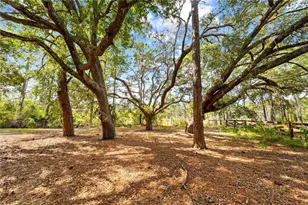 1860 Mustang Ct, Saint Cloud, FL 34771 - Photo 8