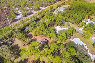 1860 Mustang Ct, Saint Cloud, FL 34771 - Photo 68