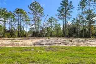 8425 N Legacy Loop, Citrus Springs, FL 34433 - Photo 50