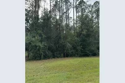 Lake Smith Road, Umatilla, FL 32784 - Photo 4