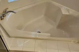 3905 Bowfin Trail, Kissimmee, FL 34746 - Photo 14