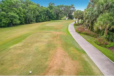 591 Highlands Hammock Drive, Kissimmee, FL 34759 - Photo 46