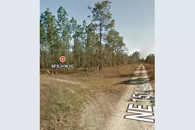 Tbd NE 12 Street, Williston, FL 32696 - Photo 4