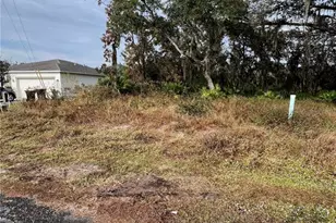 328 Alewife Ln, Kissimmee, FL 34759 - Photo 1