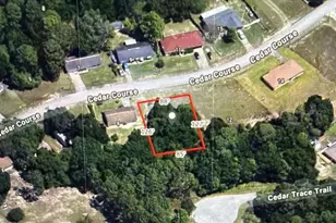 Cedar Course, Ocala, FL 34472 - Photo 1