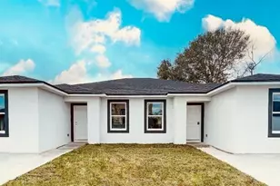 767 Platypus Ct, Kissimmee, FL 34759 - Photo 1