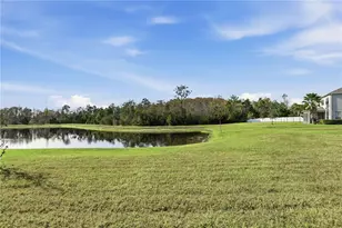 4002 Scarlet Branch Rd, Orlando, FL 32824 - Photo 40