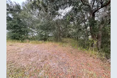 1701 Sanford Street, Lake Wales, FL 33859 - Photo 18