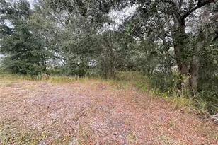 1701 Sanford St, Lake Wales, FL 33859 - Photo 18