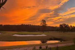 3415 Santa Monica Dr, Orlando, FL 32822 - Photo 44