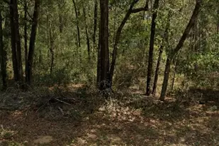 9231 N Sherman Dr, Citrus Springs, FL 34434 - Photo 1