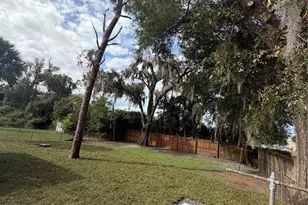 1347 Orchid Ave, Winter Park, FL 32789 - Photo 12