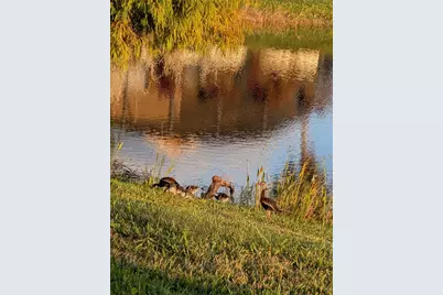 [Address not provided], Kissimmee, FL 34759 - Photo 22