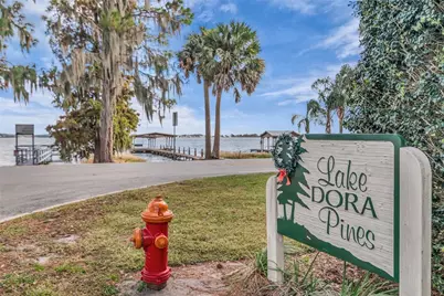 685 Oleander Street, Mount Dora, FL 32757 - Photo 50