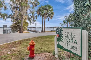 685 Oleander St, Mount Dora, FL 32757 - Photo 50