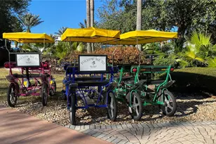 1427 Fairview Cir, Reunion, FL 34747 - Photo 66