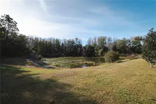 13320 Crest Lake Dr, Hudson, FL 34669 - Photo 28