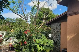 4177 Flying Fortress Ave, Kissimmee, FL 34741 - Photo 4