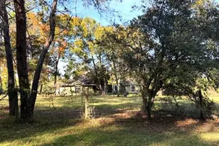 791 SE 142 Ave, Williston, FL 32696 - Photo 2