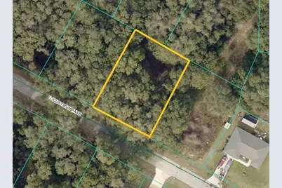 Locust Run Pass, Ocala, FL 34472 - Photo 1