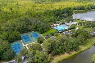 529 Greenbrier Ave, Celebration, FL 34747 - Photo 64