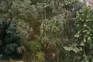 2514 Lemon Tree Ln, Orlando, FL 32839 - Photo 10