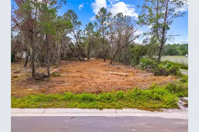 0 Dease Road, Saint Cloud, FL 34771 - Photo 12