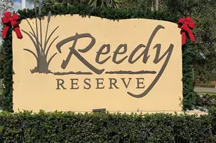 3374 Reedy Glen Dr, Kissimmee, FL 34758 - Photo 4