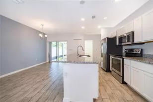 4264 Desert Rose Ave, Kissimmee, FL 34746 - Photo 8