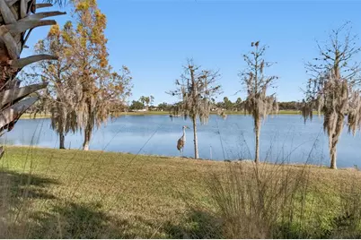 2376 Palm Tree Drive, Kissimmee, FL 34759 - Photo 40