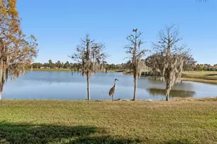 2376 Palm Tree Dr, Kissimmee, FL 34759 - Photo 8