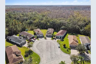 1689 Trabuco Canyon Court, Kissimmee, FL 34759 - Photo 38