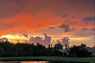 2825 Palm Tree Dr, Kissimmee, FL 34759 - Photo 38