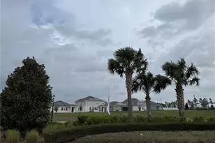 7117 Dilly Lake Ave, Groveland, FL 34736 - Photo 72