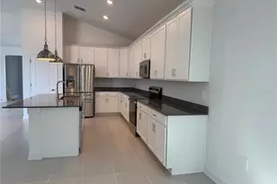 7117 Dilly Lake Ave, Groveland, FL 34736 - Photo 2