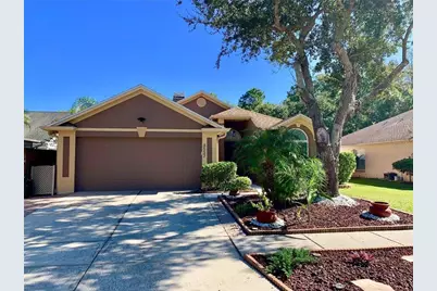 8553 Manassas Road, Tampa, FL 33635 - Photo 1