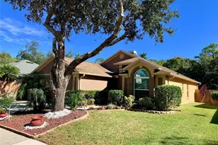 8553 Manassas Rd, Tampa, FL 33635 - Photo 32