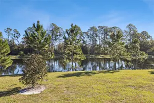 16392 Winding Preserve Cir, Clermont, FL 34714 - Photo 28