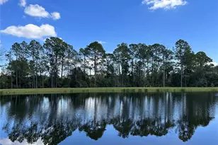 16392 Winding Preserve Cir, Clermont, FL 34714 - Photo 6