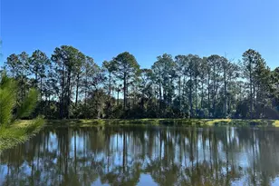 16392 Winding Preserve Cir, Clermont, FL 34714 - Photo 40