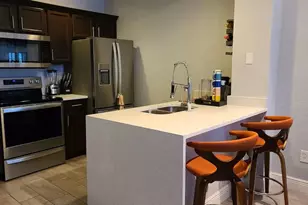 4562 Jona Free Ln, Kissimmee, FL 34746 - Photo 10