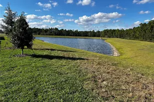 12893 Harvest Rain, Winter Garden, FL 34787 - Photo 6