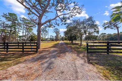 3911 Story Road, Saint Cloud, FL 34772 - Photo 4