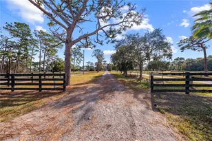 3911 Story Rd, Saint Cloud, FL 34772 - Photo 4