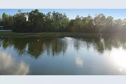 1352 Coriander Drive, Kissimmee, FL 34759 - Photo 26