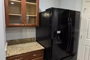 4630 Chatterton Way, Riverview, FL 33578 - Photo 12