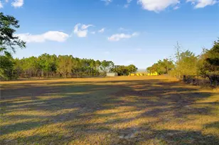 7008 Hunt Rd, Groveland, FL 34736 - Photo 34