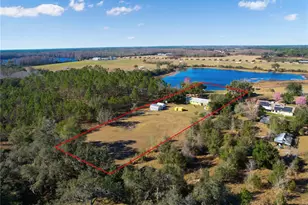 7008 Hunt Rd, Groveland, FL 34736 - Photo 6